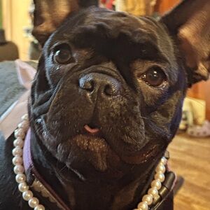 Meet your Posher, Annetta